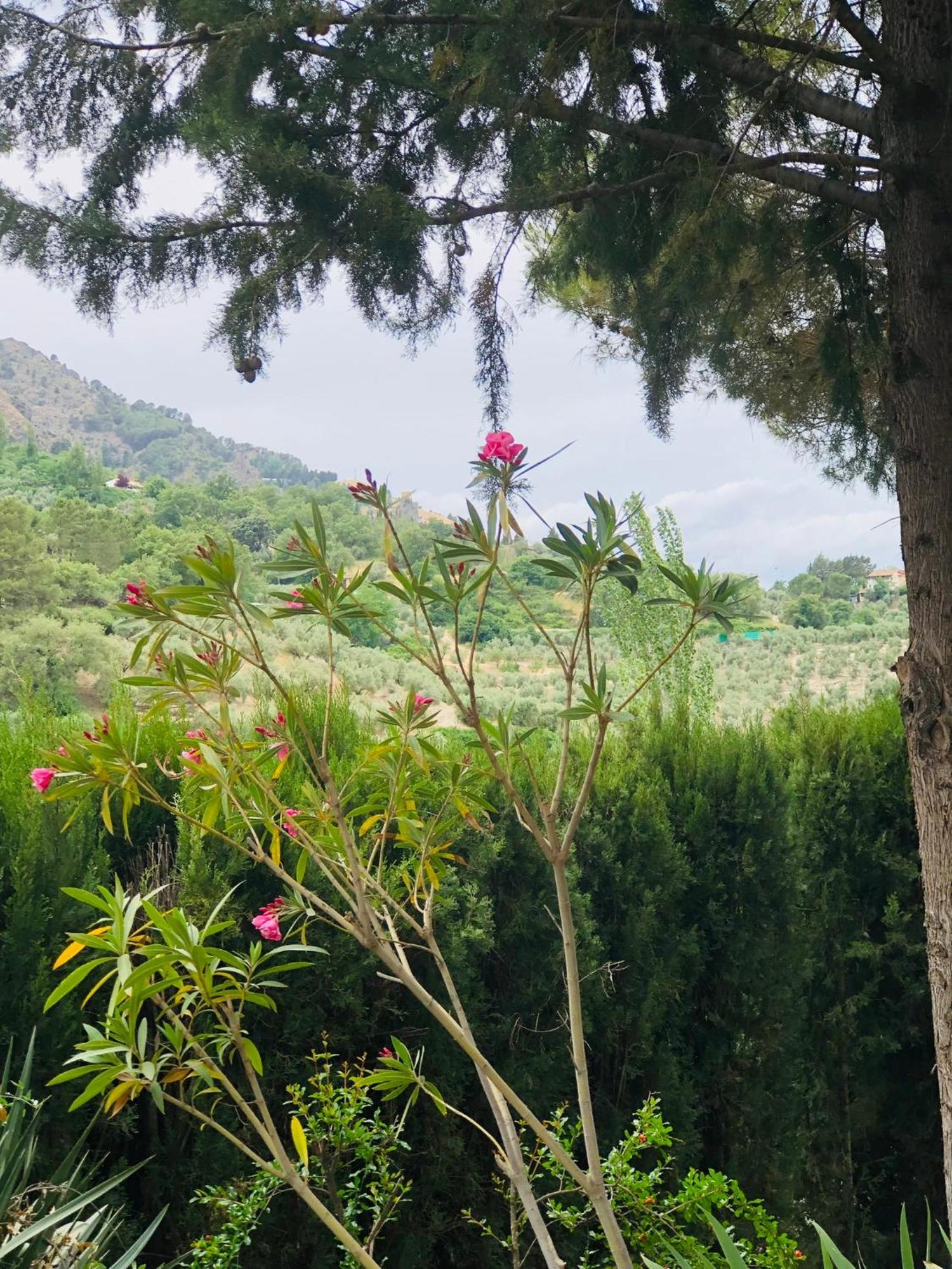 Nueva Cazorla Mirador Cerro Del Escribano Villa La Iruela Ngoại thất bức ảnh